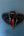 Vessel With Amulet Drawstring - Red Cinnabar Fish