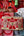 Geranium - Found & Gathered Bundle