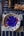 Blue Tulip - Found & Gathered Bundle