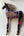 Horse -  Pollination