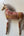 Horse - Fragile