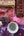 Violetta - Found & Gathered Bundle