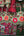 Verde - Found & Gathered Bundle