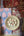 Hydrangea - Found & Gathered Bundle