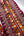 Embroidered Trim - Fuchsia Dancer