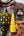 Honeycomb - Found & Gathered Bundle