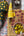 Honeycomb - Found & Gathered Bundle