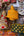 Honeycomb - Found & Gathered Bundle
