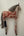 Horse - Spirited