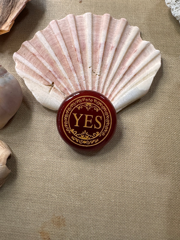 Vessel & Decision Stone - YES NO Carnelian Disc