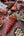 Strawberry Field - Found & Gathered Bundle
