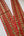 Embroidered Trim - Joy Belle